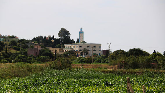 Oued Alian Mosque