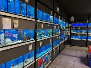 Terranimo Saint-Maur - animalerie pour animaux de compagnie