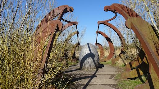 Rainton Meadows Nature Reserve