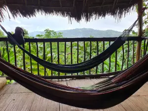 Réserve Forestière de Songoro Mbili