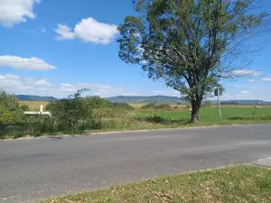 Theodora-forrás