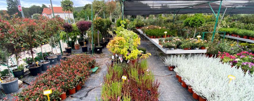 Garden Center Dubrava