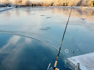 Fishing and Freizeithof Weseloh