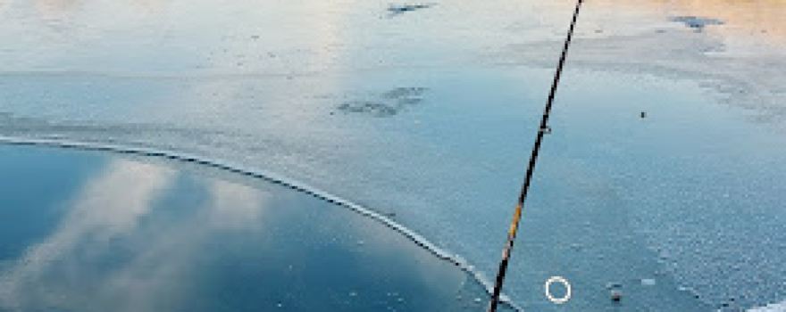 Fishing and Freizeithof Weseloh