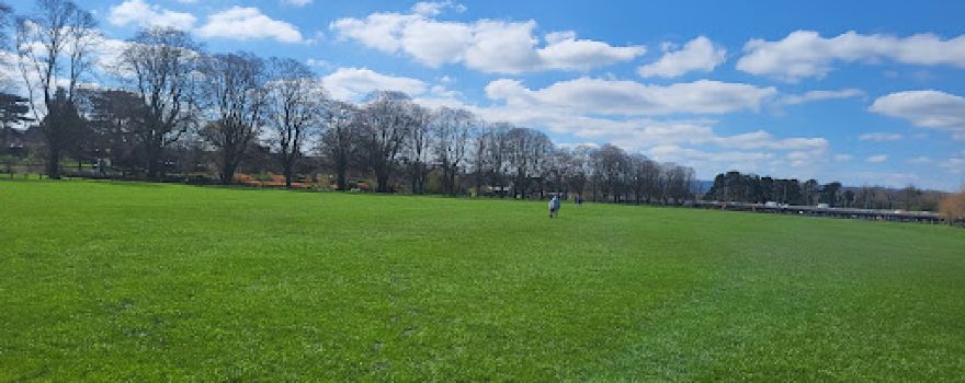 Crown Meadow