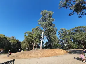 Tawonga Gap Lookout
