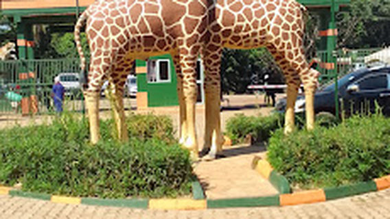 Zoo Kids Paradise Play Centre