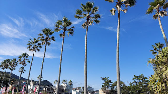 青島ホステル 神話の湯