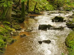 KugelWaldPfad Ühlingen-Birkendorf