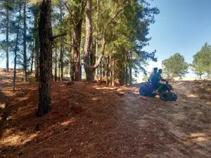 Camping Municipal B