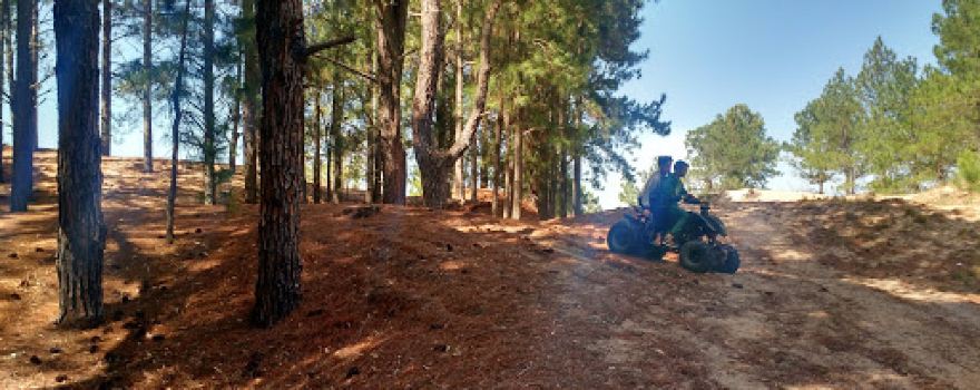 Camping Municipal B