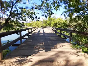 Estanque de Patos