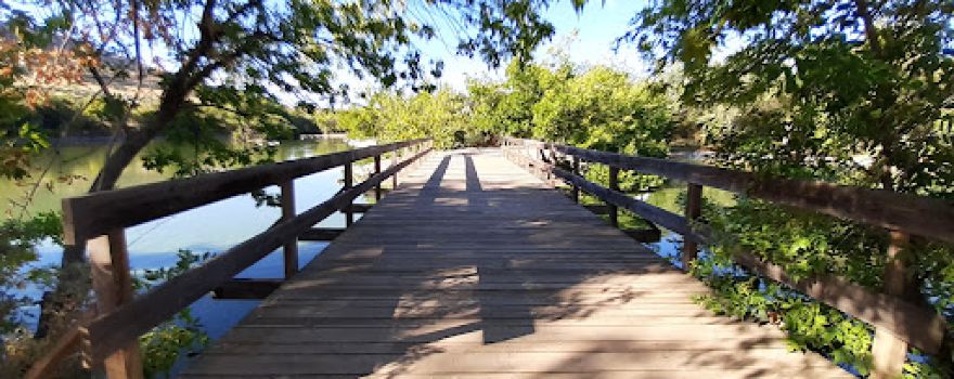 Estanque de Patos