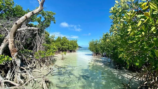 Key West Conch Life Charters