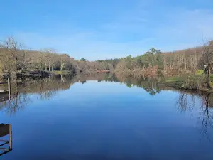 Grand Réservoir de Vioreau