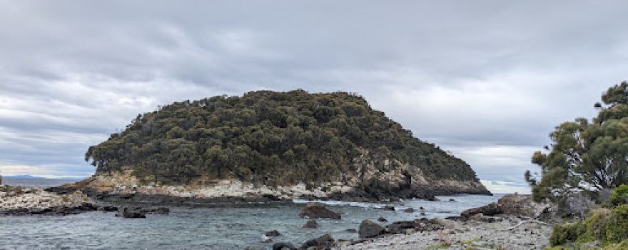 Penguin Island