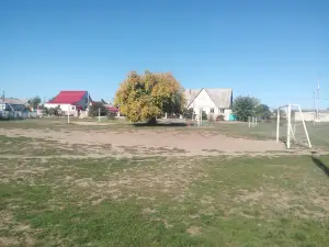 Otkrytiye Arena