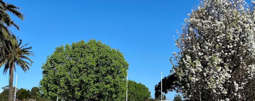 Anzac Park