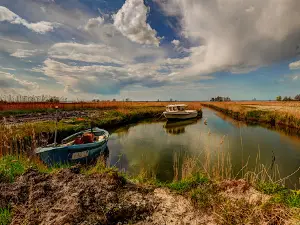 Plaża niestrzeżona we Fromborku