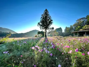 Hoshigakubo Camping Ground