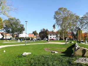 Alla Hopp