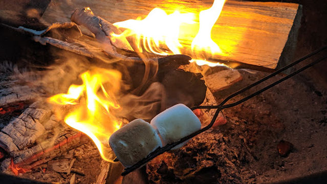 Парк штата Маккарти Бич