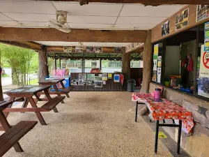 Kenyir Elephant Conservation Village (KECV)