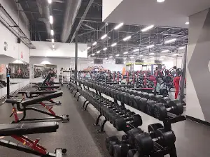 Planet Fitness - Just Gym - Newcastle