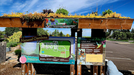 Natural Gardens At Pacific Community Park