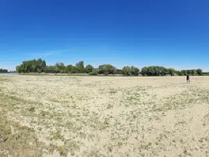 city ​​stadium