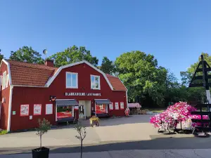 Blankaholm Naturcamping