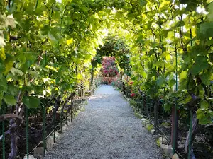 Bio Garden