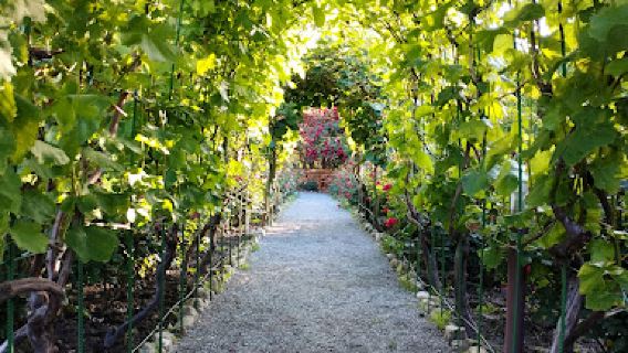 Bio Garden
