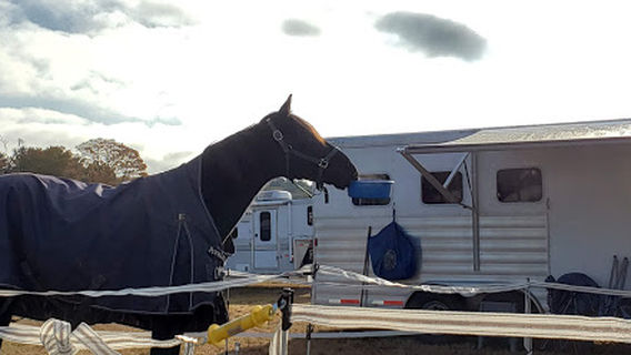 Barre Riding & Driving Club