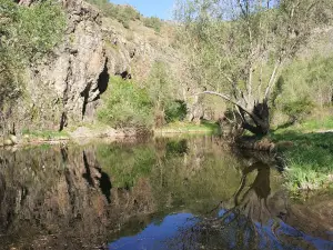 Alicin manastırı