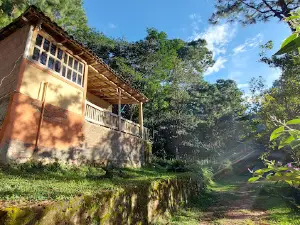 Pájaro y Nube - Cabañas y Camping