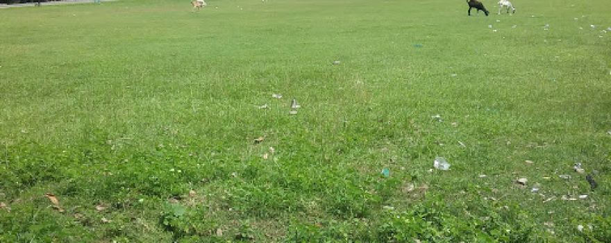Lapangan Sepak Bola Lemoe