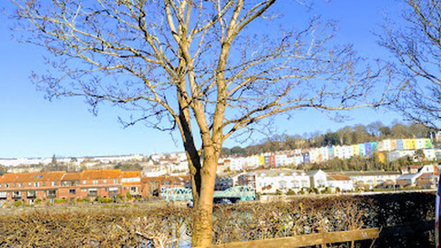 Baltic Wharf Caravan and Motorhome Club Campsite