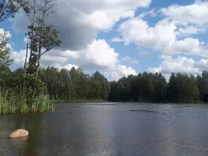 Šauklių riedulynas