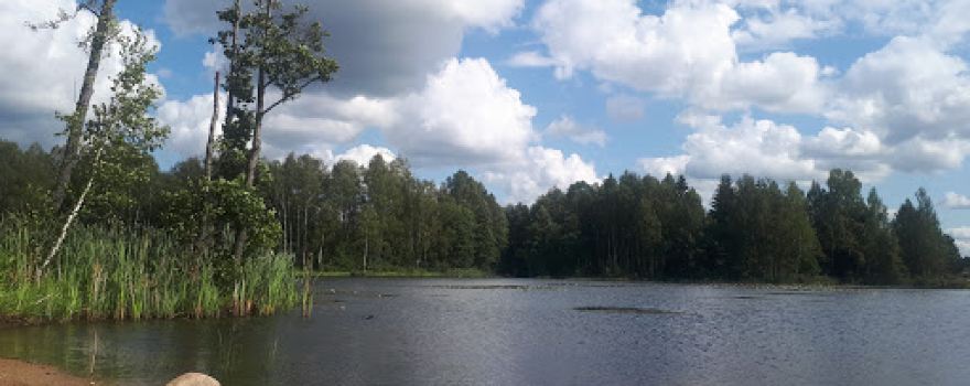 Šauklių riedulynas