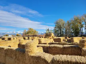 Bozeman Maze