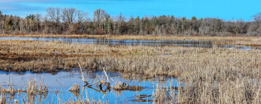 Grassy Lake State Natural Area