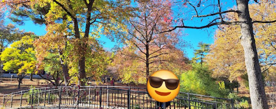 Manhasset Valley Park