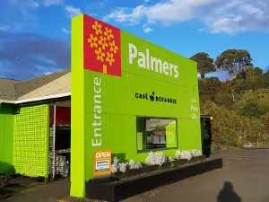 Palmers New Plymouth