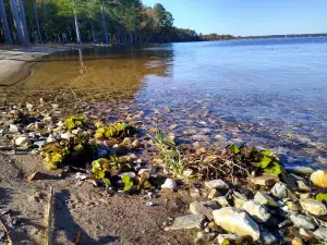 Lake Columbia RV Park