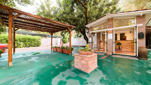 Village Camping Odyssey