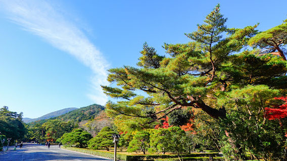 Mitarashiba (Face & Hand Purification Trough)