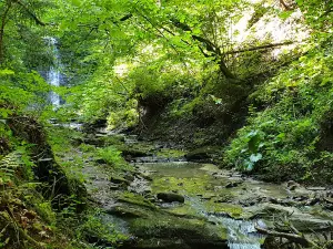 Cascada Bursuc