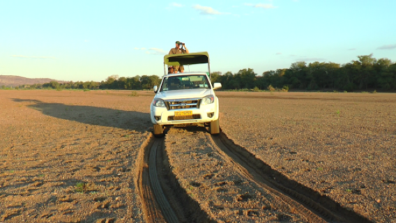 Gonarezhou National Park: part of Great Limpopo Transfrontier Conservation Area
