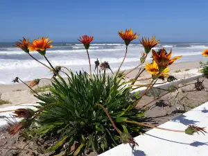 the Pedrogão (South) Beach